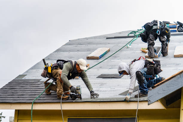 Professional Gutter Installation technician working in Ellsworth, MN